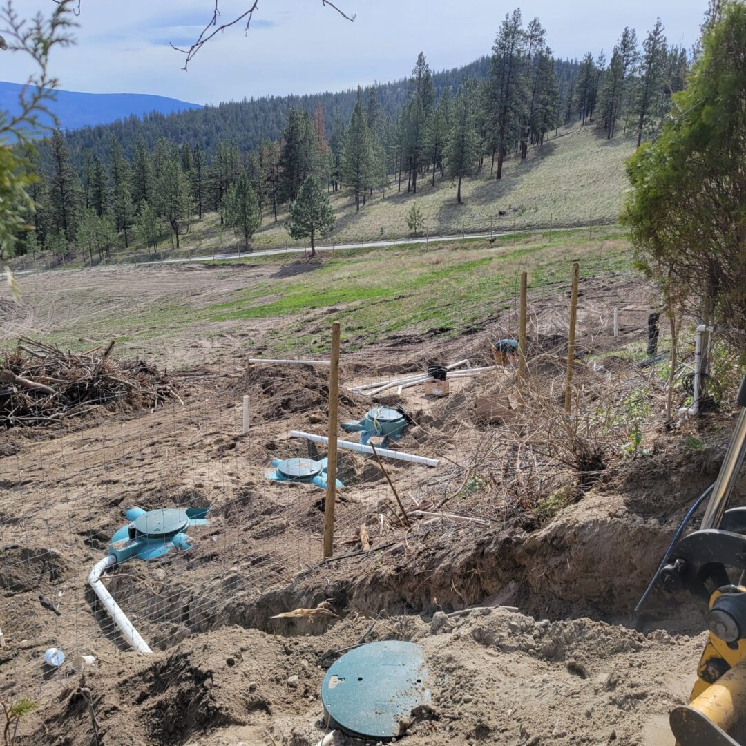 A view of a dirt field with trees in the background.
