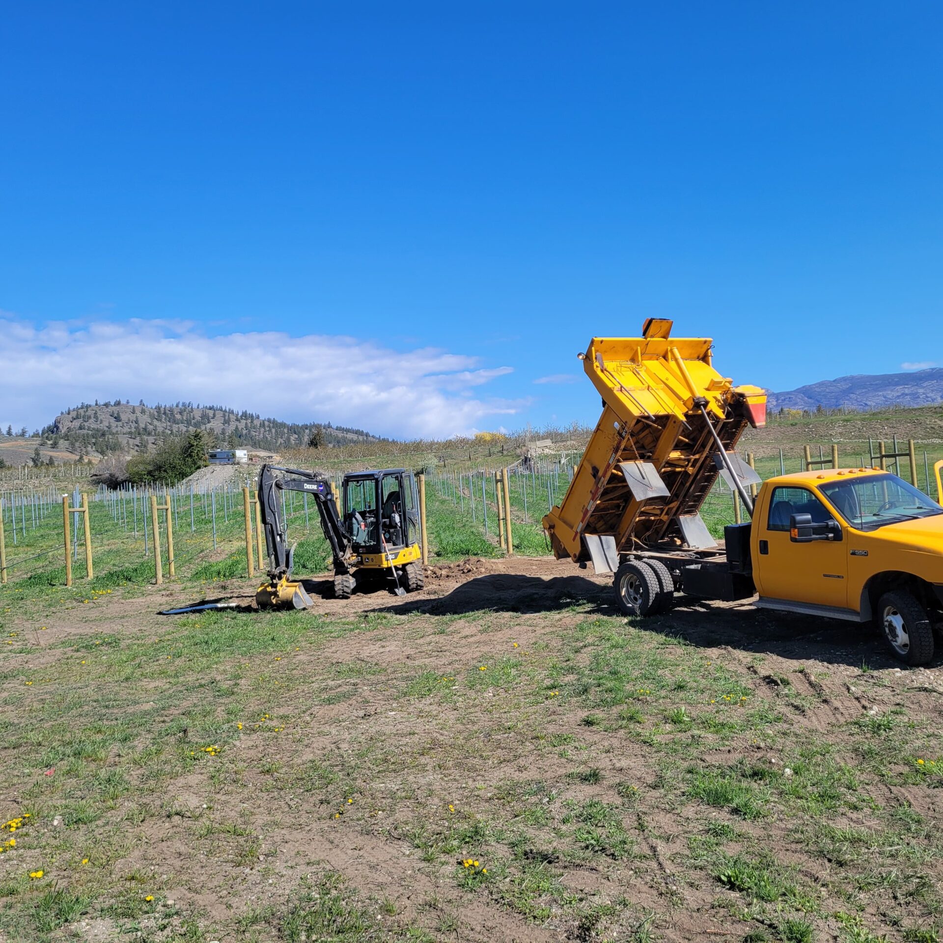 A yellow truck is parked in the grass